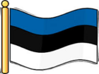 Viron lippu liehuu 96. itsenäisyyspäivän kunniaksi