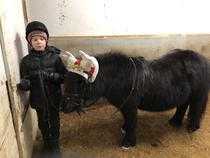 Viktor on menossa poniratsastukseen joulukuussa 2022