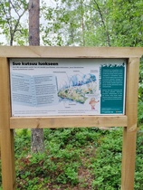 Suopolku ja suo kutsuu luokseen.