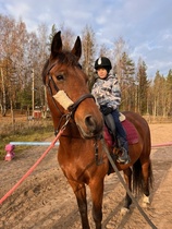 Viktor ensikertaa isokokoisen Kasper-hevosen selässä 