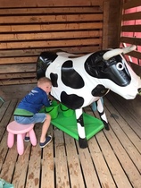 Viktor "lypsyhommissa" kesäretkellä Kilkkilän farmilla 2020. Isä otti kuvan.