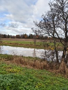 Keravanjoki marraskuun 2025 alussa Helsingin pitäjän kirkon kohdalta kuvattuna.