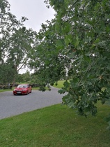 Pysäköin autoni lainaviljamakasiinin parkkipaikalle.