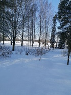 Tänä talvena on Siltamäen puistossakin riittävästi lunta hiihtämiseen.