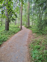 Suolle on tehty erinomaiset tiepohjat jopa