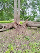 Murtunut raita Tohlopin rannalla