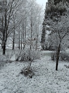 Talvinen piha ja puisto 27.11.2025