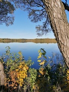Tohloppijärvi syys-lokakuun vaihteessa