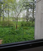 Keväinen näkymä Siltamäen puistoon ja lammelle