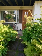 Tie kotiovelle Tohlopissa kesällä 2025