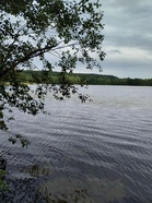 Tohloppijärven rantaa