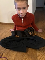 Viktor ja uusi perheenjäsen Winston mäyräkoira joulukuussa 2024